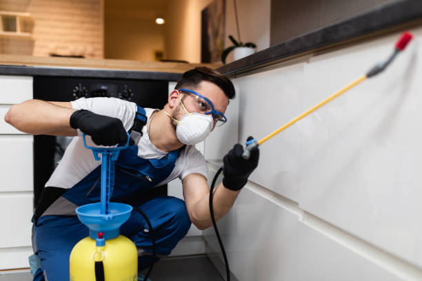 Best Emergency Pest Control  in Schriever, LA