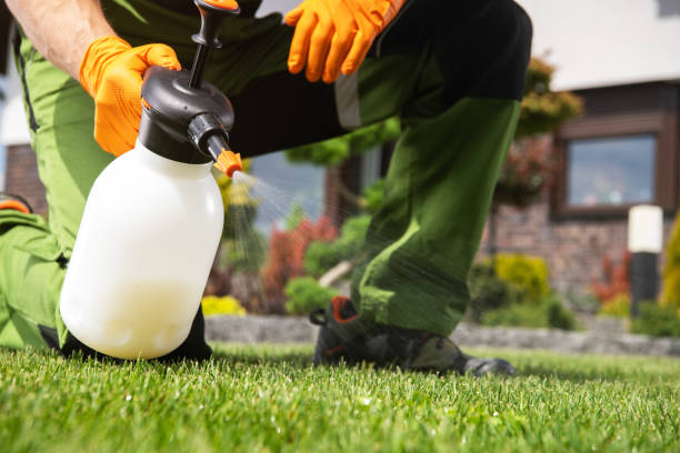 Reliable Schriever, LA Pest Control Solutions