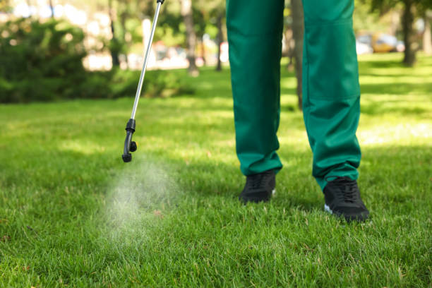 Best Local Pest Control Services  in Schriever, LA