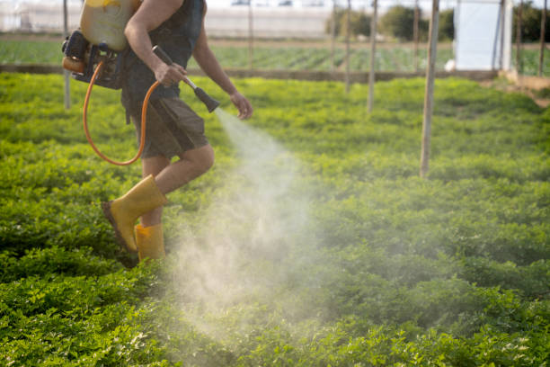 Best Pest Inspection Near Me  in Schriever, LA