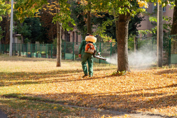 Best Wildlife Control Services  in Schriever, LA