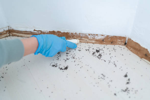 Best Best Pest Control Companies  in Schriever, LA